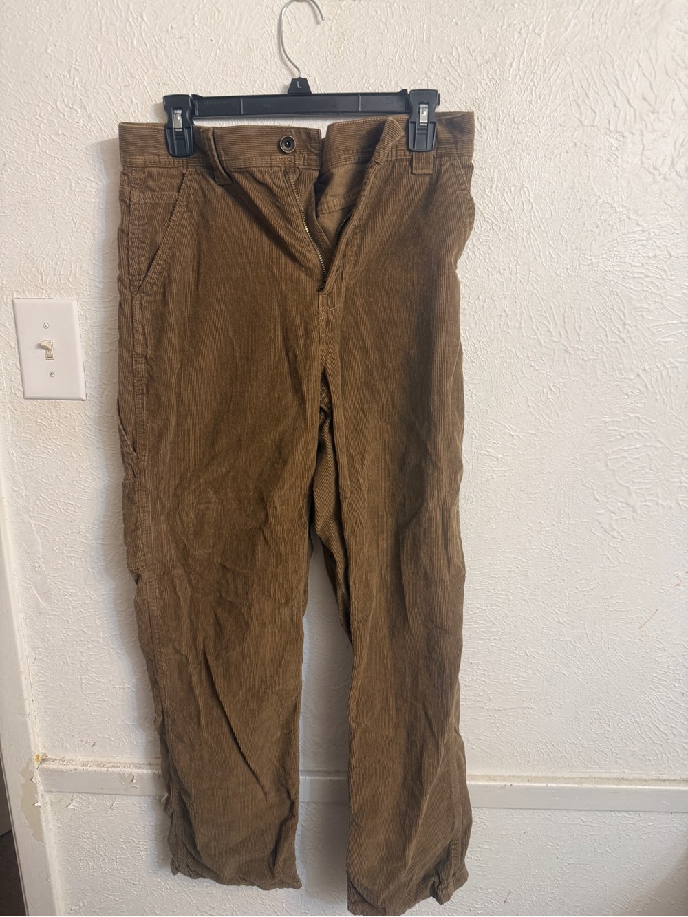 Vans Men's Brown Corduroy Carpenter Pants